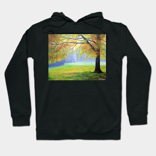 Morning Beauty Hoodie